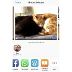 WhatsApp, una falla di sicurezza rende inutile il blocco tramite Face ID o Touch ID