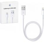 Il 25 marzo potremmo conoscere il futuro del connettore Lightning