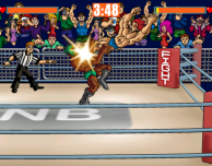 Slam Mania: un omaggio ai classici giochi del wrestling