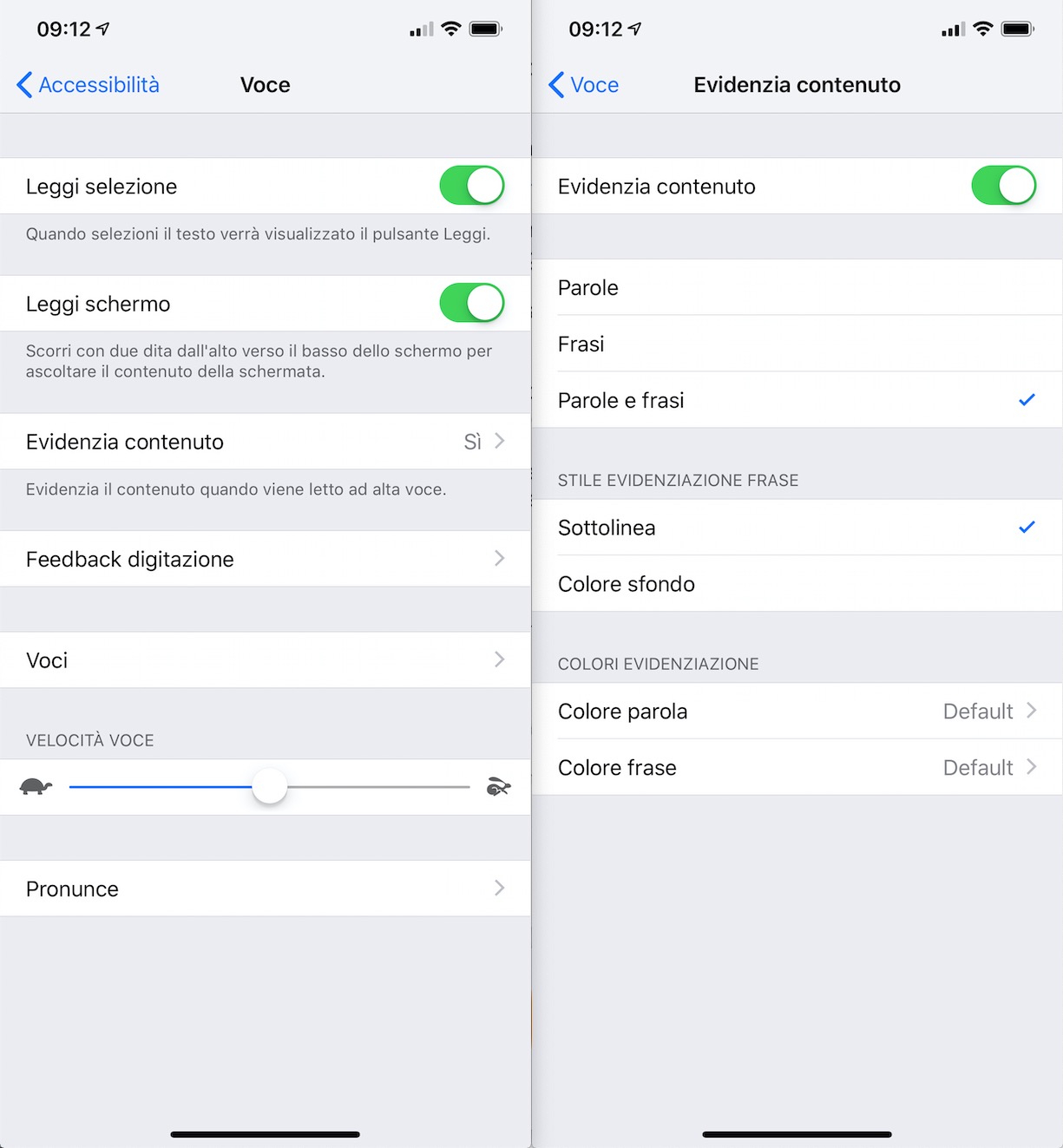 ios accessibilità