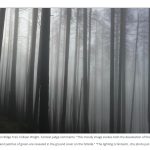 Foto scattata con iPhone 6 vince il concorso fotografico Columbia Gorge