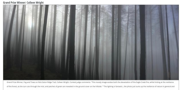 Foto scattata con iPhone 6 vince il concorso fotografico Columbia Gorge