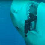 “Do not Mess with Mother”: il dietro le quinte del video di Apple