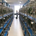 Svelata la struttura segreta di Apple dove gli iPhone… diventano più sicuri