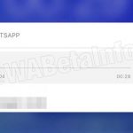 WhatsApp consentirà di ascoltare le note vocali dalle notifiche push e… arriverà l’app iPad!