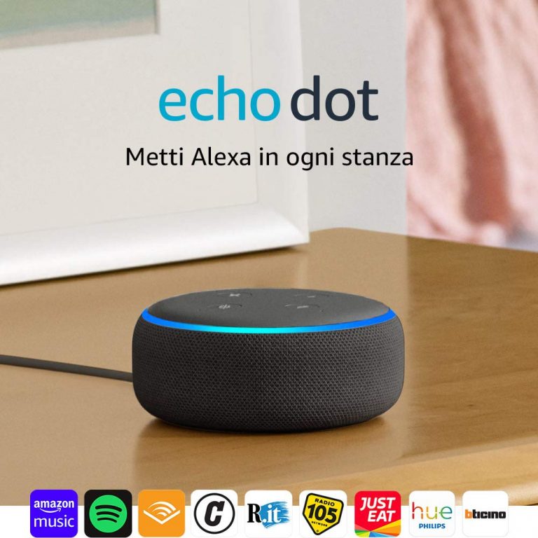 echo dot fire stick