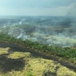 Apple dona milioni di dollari per combattere gli incendi nella foresta amazzonica