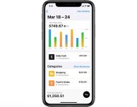 I dati di Apple Card non potranno essere esportati in altre app finanziare