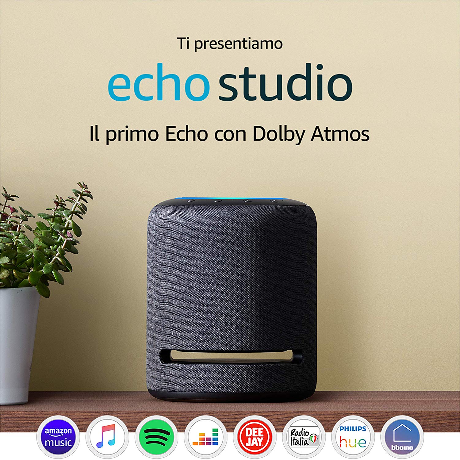 echo dot grigio chiaro