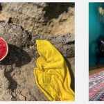 La Modalità Ritratto su iPhone 11 funziona con oggetti e animali domestici