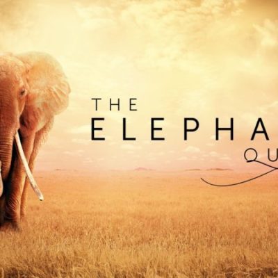 Apple pubblica un nuovo trailer di “The Elephant Queen”