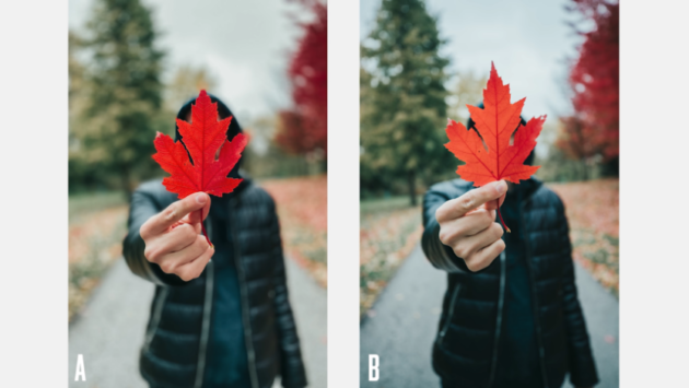 iphone-11-pro-vs-dslr