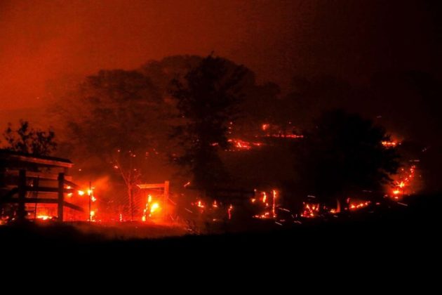 Wildfire Relief Efforts