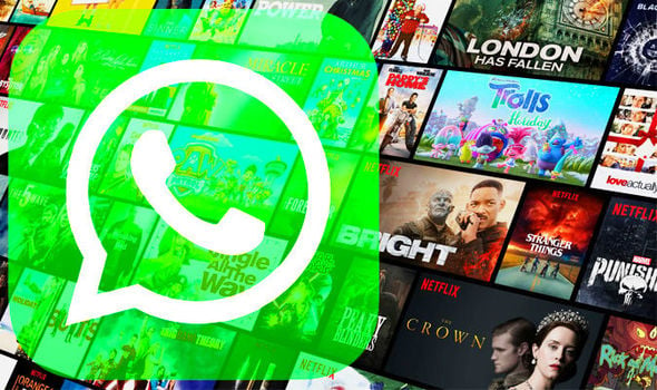 WhatsApp permette di guardare trailer Netflix direttamente in chat