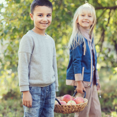Jony Ive contribuirà a piantare frutteti nelle scuole britanniche: “Alberi fondamentali, anche nel campus Apple”