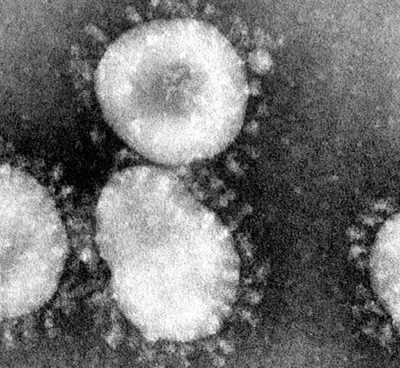 Tim Cook annuncia che Apple donerà per aiutare a combattere il coronavirus