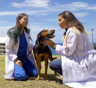La Apple Distinguished School ora include la Ross University School of Veterinary Medicine