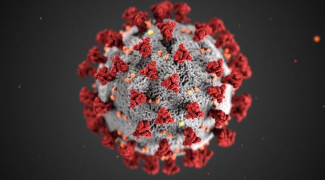 Immuni è l’app scelta per il tracciamento dei contatti COVID-19 in Italia
