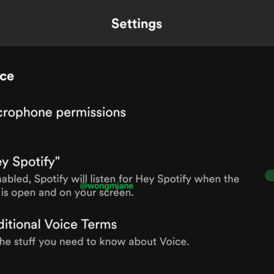 Hey Spotify, in arrivo il nuovo comando vocale su Spotify