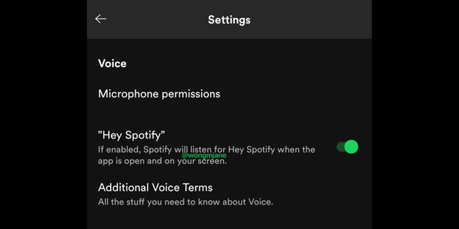 Hey Spotify, in arrivo il nuovo comando vocale su Spotify