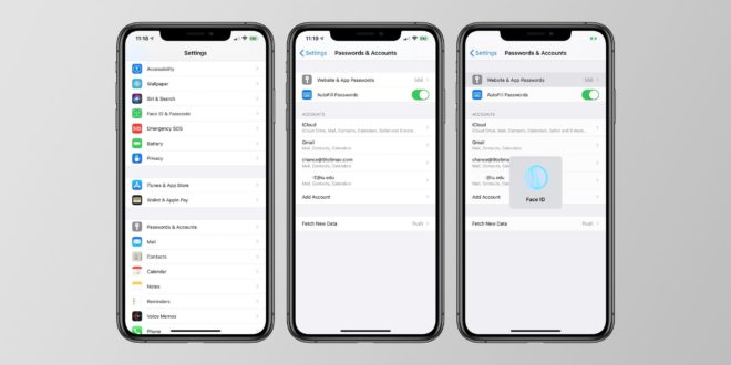 Il gestore password di iOS 14 potrebbe avere funzionalità simili a 1Password