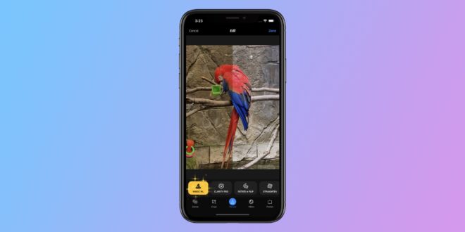 Camera+ 2 per iOS: arriva la funzione “Magic ML” per migliorare le foto con un solo tocco