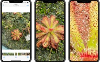 iOS 14 consente di ingrandire ulteriormente le foto
