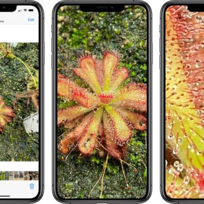 iOS 14 consente di ingrandire ulteriormente le foto
