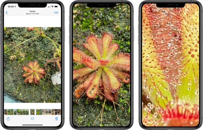 iOS 14 consente di ingrandire ulteriormente le foto