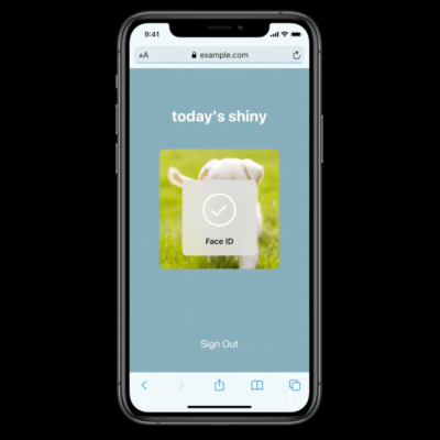 Safari 14 supporta Face ID e Touch ID per l’inserimento delle password