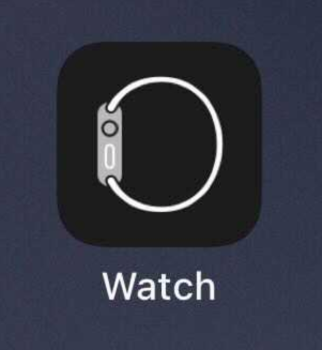 icona watch 14.2