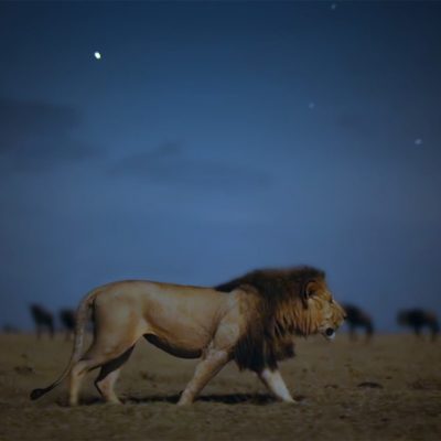 Earthsound è il nuovo documentario in arrivo su Apple TV+