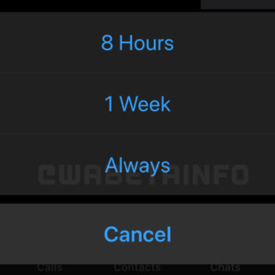 WhatsApp su iOS, in arrivo diverse novità