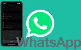 Ora possiamo silenziare “per sempre” le notifiche di WhatsApp