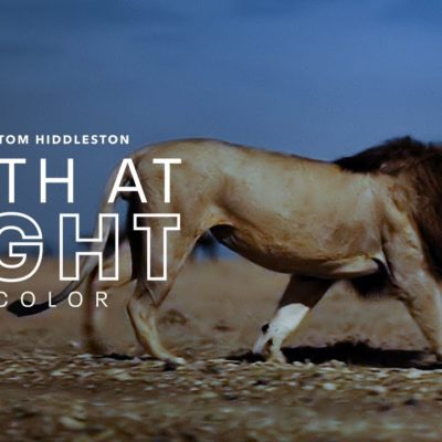 Apple pubblica il trailer della docuserie “Earth At Night In Color”