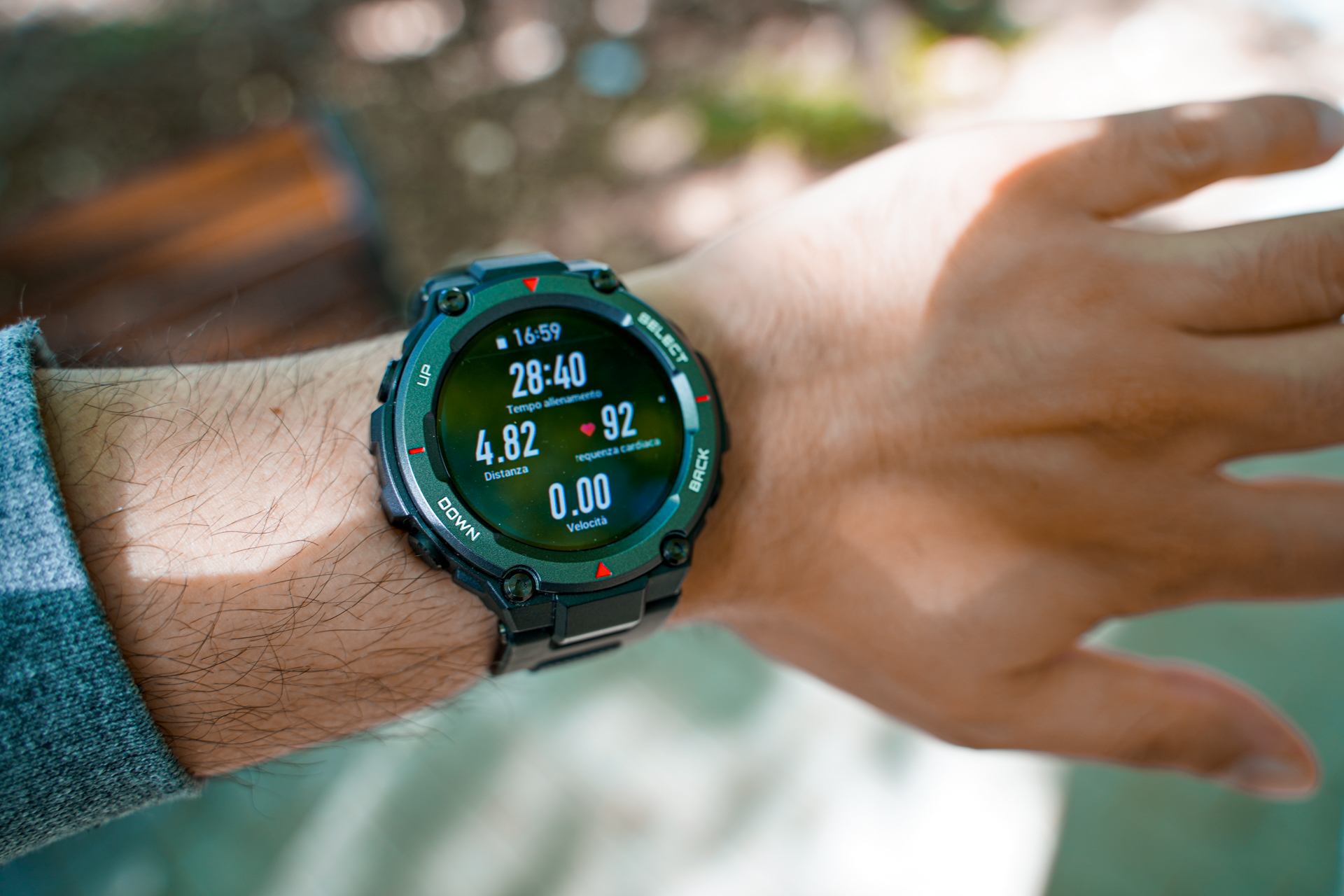 fitbit t rex