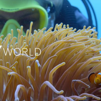 Video mostra il dietro le quinte della seconda stagione di “Tiny World”