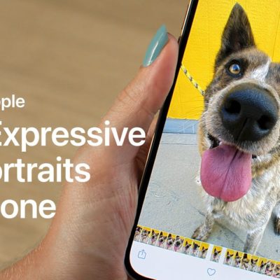 Today at Apple spiega come realizzare ritratti espressivi di animali domestici