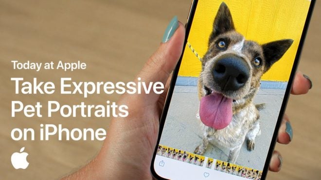 Today at Apple spiega come realizzare ritratti espressivi di animali domestici