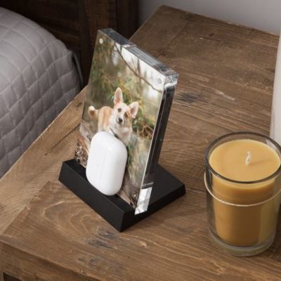 Twelve South lancia la nuova cornice con ricarica wireless “PowerPic Mod”