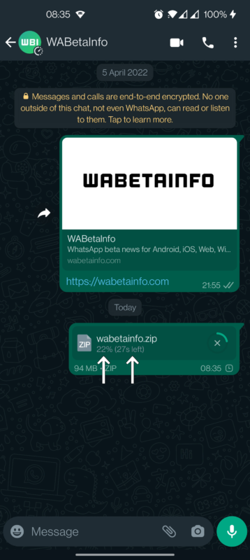 trasferimento file whatsapp