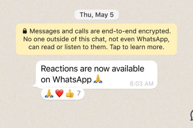 WhatsApp implementa reaction, invio file fino a 2 GB e altre novità