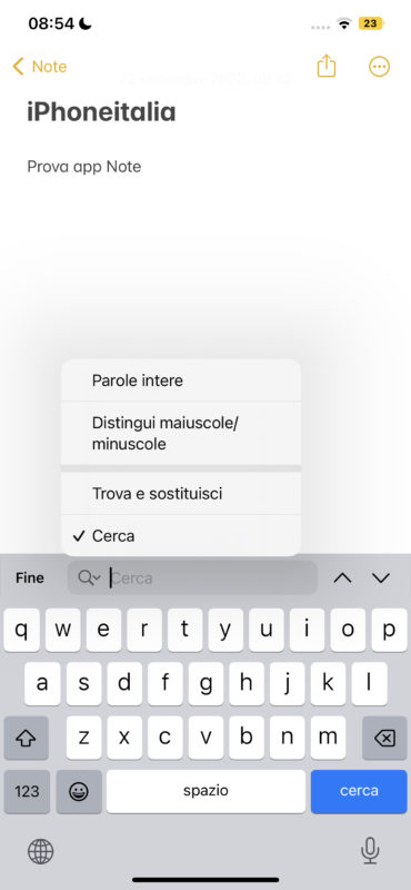 Come utilizzare l’opzione “Trova e sostituisci” in Note su iPhone