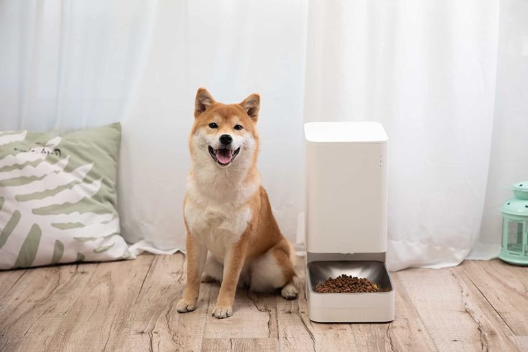 dispensador inteligente de comida para perros xiaomi