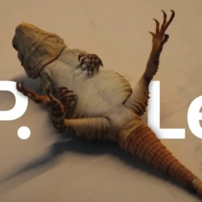 I due nuovi (e divertenti) spot dedicati agli iPhone 14