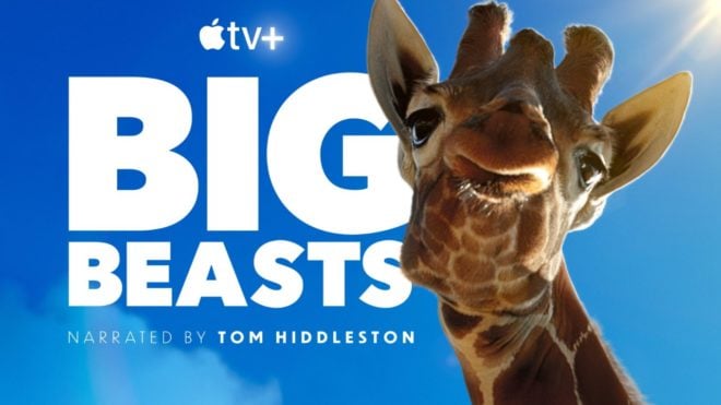 Apple svela la serie naturalistica “Big Beasts” per la Giornata della Terra