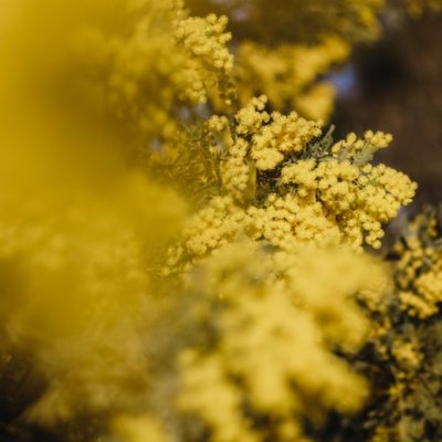 Festa della Donna: le migliori idee regalo del 2023