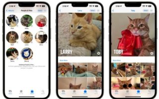 Foto in iOS 17 riconosce anche gli animali domestici