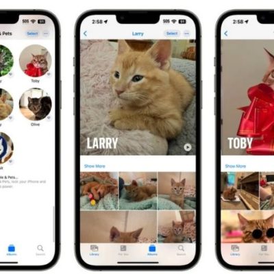 Foto in iOS 17 riconosce anche gli animali domestici