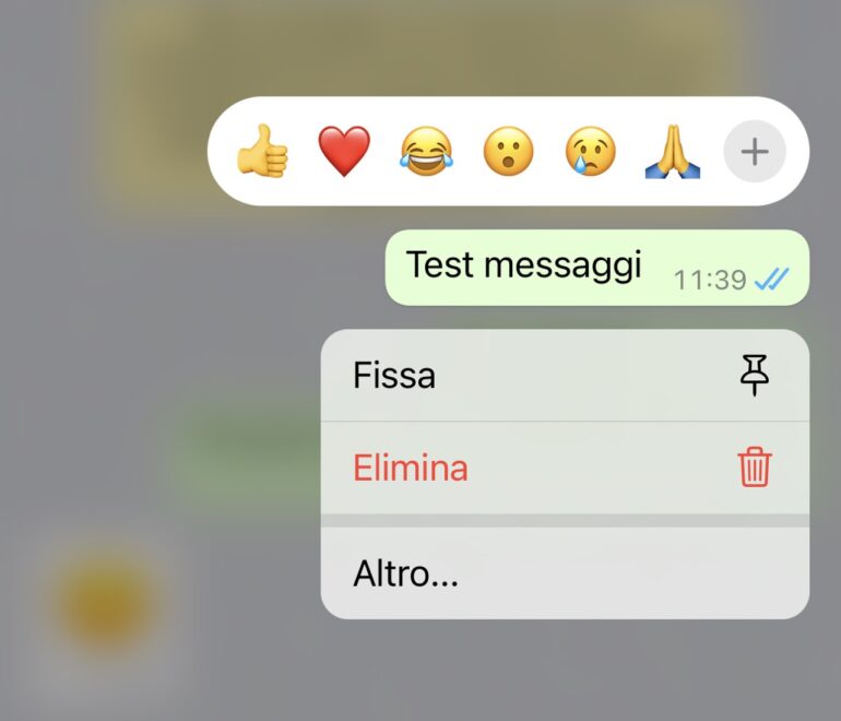 Come fissare un messaggio su WhatsApp iPhone Italia Come fissare un messaggio su WhatsApp iPhone Italia